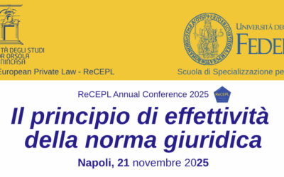 Il principio di effettività della norma giuridica, Università Suor Orsola Benincasa-Università degli Studi di Napoli “Federico II”, 21 novembre 2025 – The effectiveness principle of norms, University Suor Orsola Benincasa-University of Naples “Federico II”, November 21st, 2025